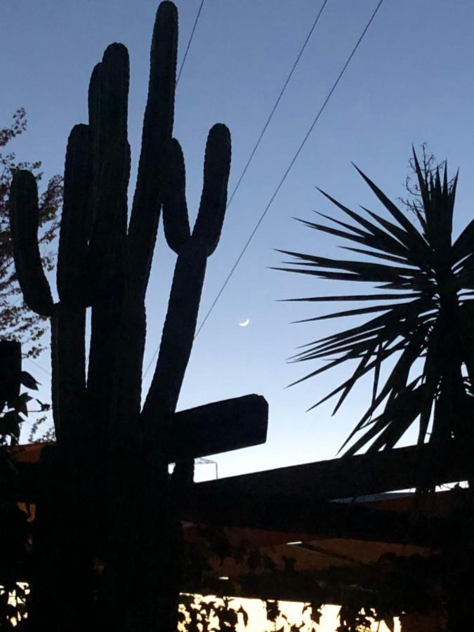 La Casita Del Cactus - Casa De Campo Con Piscina Alcalá de Guadaira Exteriér fotografie