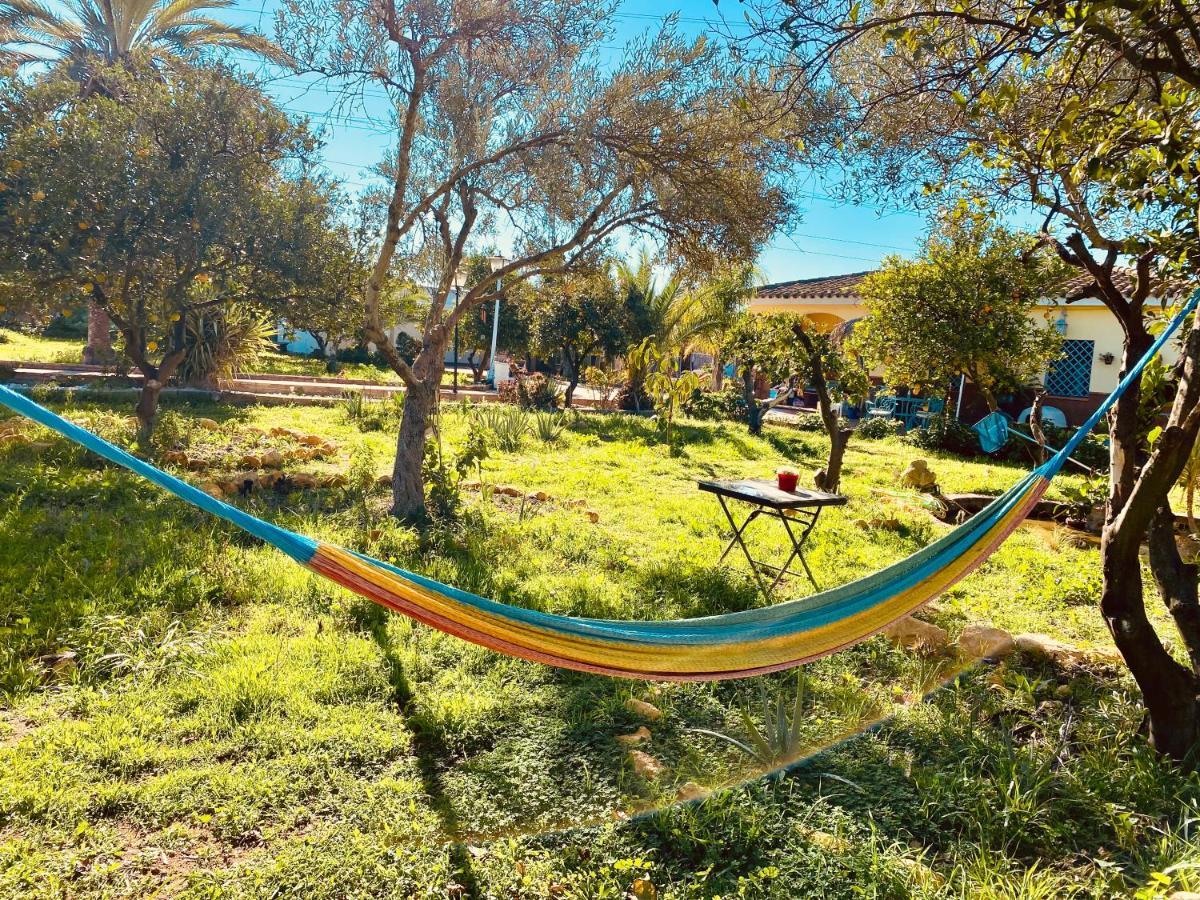 La Casita Del Cactus - Casa De Campo Con Piscina Alcalá de Guadaira Exteriér fotografie