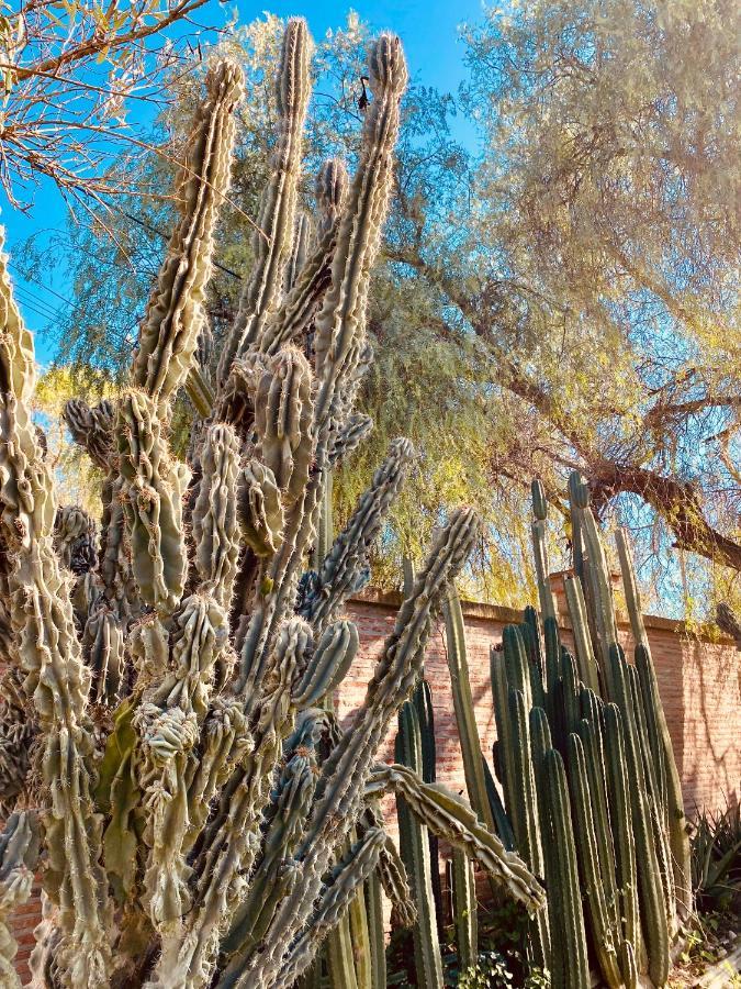 La Casita Del Cactus - Casa De Campo Con Piscina Alcalá de Guadaira Exteriér fotografie